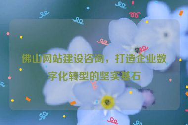 佛山網(wǎng)站建設(shè)咨詢，打造企業(yè)數(shù)字化轉(zhuǎn)型的堅實基石