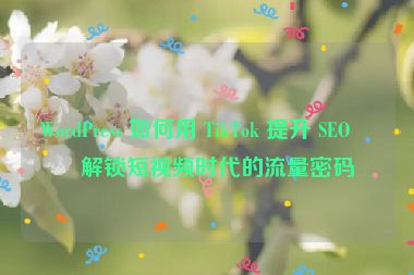 WordPress 如何用 TikTok 提升 SEO？解鎖短視頻時(shí)代的流量密碼