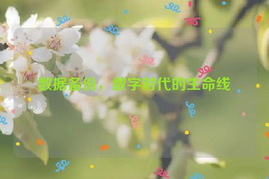 數(shù)據(jù)備份，數(shù)字時代的生命線