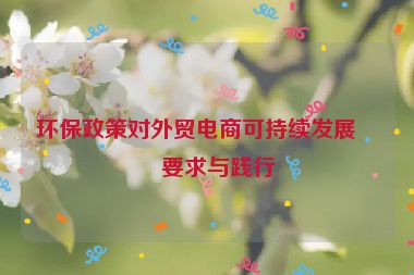 環(huán)保政策對(duì)外貿(mào)電商可持續(xù)發(fā)展的要求與踐行