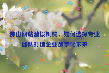 佛山網(wǎng)站建設(shè)機構(gòu)，如何選擇專業(yè)團隊打造企業(yè)數(shù)字化未來