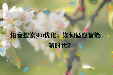 語音搜索SEO優(yōu)化，如何適應(yīng)智能音箱時(shí)代？