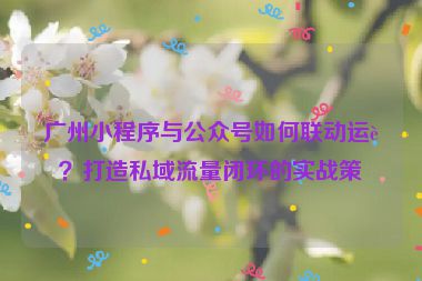 廣州小程序與公眾號如何聯(lián)動運營？打造私域流量閉環(huán)的實戰(zhàn)策略