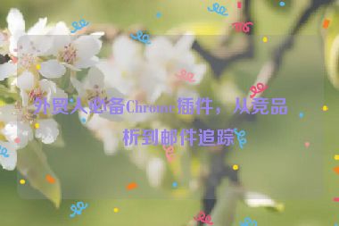 外貿(mào)人必備Chrome插件，從競品分析到郵件追蹤