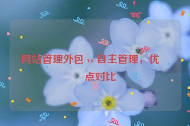 網(wǎng)站管理外包 vs 自主管理，優(yōu)缺點對比