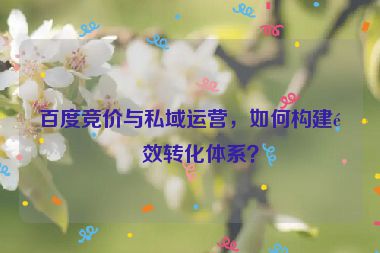 百度競價與私域運營，如何構(gòu)建長效轉(zhuǎn)化體系？