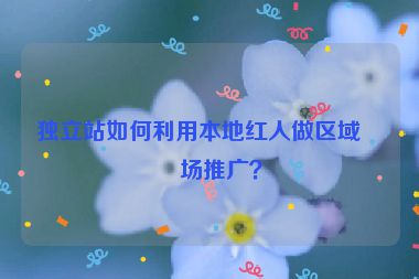 獨立站如何利用本地紅人做區(qū)域市場推廣？