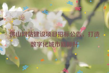 佛山網(wǎng)站建設(shè)項(xiàng)目招標(biāo)公告，打造數(shù)字化城市新標(biāo)桿