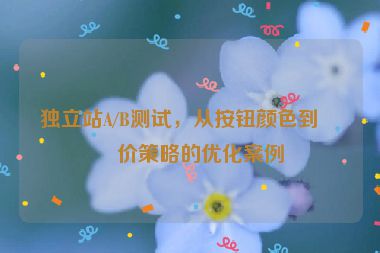 獨(dú)立站A/B測試，從按鈕顏色到定價策略的優(yōu)化案例
