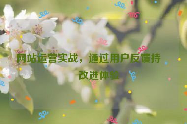 網(wǎng)站運(yùn)營(yíng)實(shí)戰(zhàn)，通過(guò)用戶反饋持續(xù)改進(jìn)體驗(yàn)