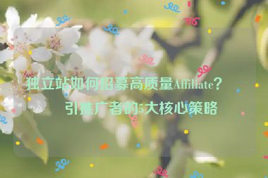 獨立站如何招募高質(zhì)量Affiliate？吸引推廣者的5大核心策略