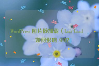 WordPress 圖片懶加載（Lazy Load）如何影響 SEO？