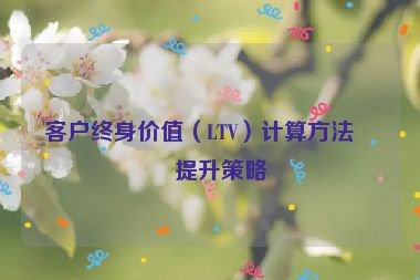 客戶終身價值（LTV）計算方法與提升策略