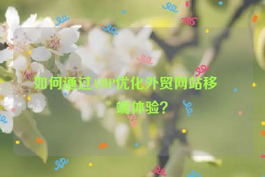 如何通過AMP優(yōu)化外貿(mào)網(wǎng)站移動端體驗(yàn)？