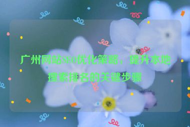 廣州網(wǎng)站SEO優(yōu)化策略，提升本地搜索排名的關(guān)鍵步驟