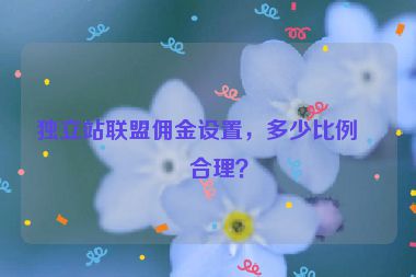 獨立站聯(lián)盟傭金設(shè)置，多少比例最合理？