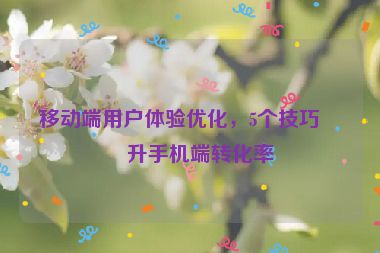 移動端用戶體驗優(yōu)化，5個技巧提升手機(jī)端轉(zhuǎn)化率