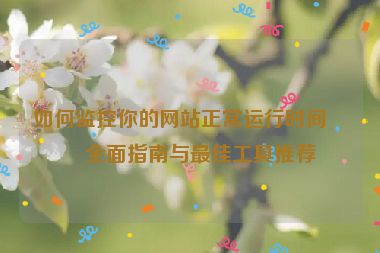 如何監(jiān)控你的網(wǎng)站正常運行時間？全面指南與最佳工具推薦