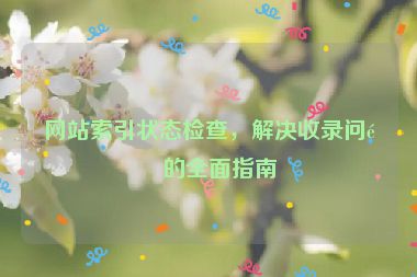 網(wǎng)站索引狀態(tài)檢查，解決收錄問題的全面指南