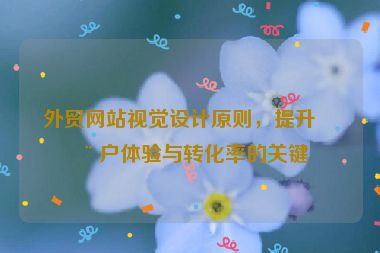 外貿(mào)網(wǎng)站視覺設(shè)計(jì)原則，提升用戶體驗(yàn)與轉(zhuǎn)化率的關(guān)鍵