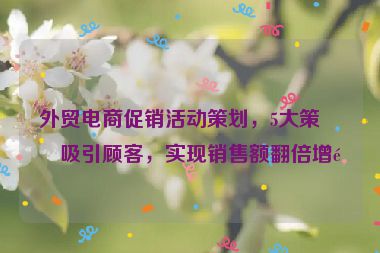 外貿(mào)電商促銷活動(dòng)策劃，5大策略吸引顧客，實(shí)現(xiàn)銷售額翻倍增長(zhǎng)