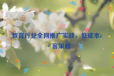 教育行業(yè)全網(wǎng)推廣實戰(zhàn)，低成本獲客策略