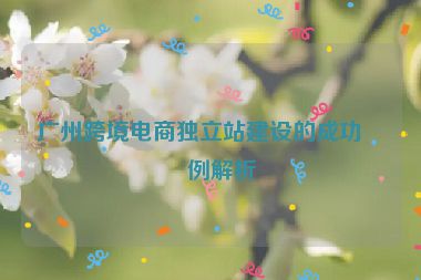 廣州跨境電商獨立站建設的成功案例解析