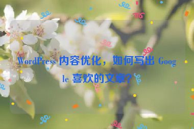 WordPress 內(nèi)容優(yōu)化，如何寫出 Google 喜歡的文章？