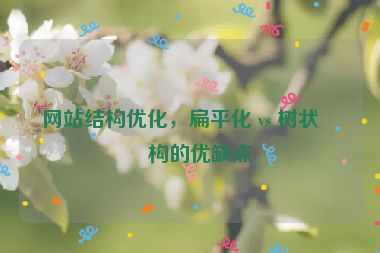 網站結構優(yōu)化，扁平化 vs 樹狀結構的優(yōu)缺點