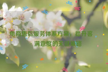 電商售后服務(wù)體系方案，提升客戶滿意度的關(guān)鍵策略