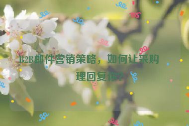 B2B郵件營(yíng)銷(xiāo)策略，如何讓采購(gòu)經(jīng)理回復(fù)你？