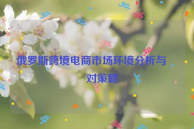 俄羅斯跨境電商市場環(huán)境分析與應(yīng)對策略