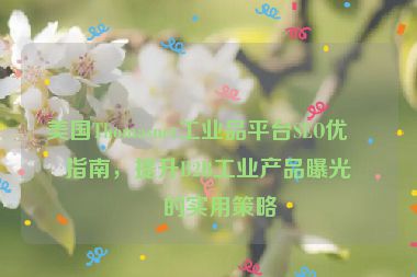 美國Thomasnet工業(yè)品平臺SEO優(yōu)化指南，提升B2B工業(yè)產(chǎn)品曝光率的實用策略