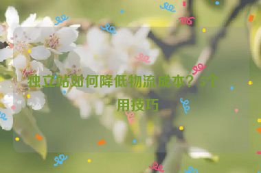 獨(dú)立站如何降低物流成本？5個(gè)實(shí)用技巧