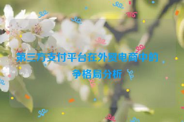 第三方支付平臺(tái)在外貿(mào)電商中的競(jìng)爭(zhēng)格局分析