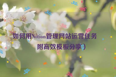 如何用Notion管理網(wǎng)站運營任務(wù)？附高效模板分享）