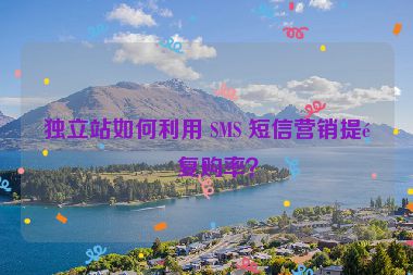 獨(dú)立站如何利用 SMS 短信營(yíng)銷(xiāo)提高復(fù)購(gòu)率？