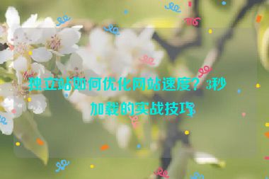 獨(dú)立站如何優(yōu)化網(wǎng)站速度？3秒內(nèi)加載的實(shí)戰(zhàn)技巧