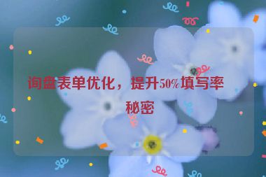 詢盤(pán)表單優(yōu)化，提升50%填寫(xiě)率的秘密