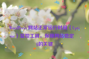 WordPress 網(wǎng)站正常運(yùn)行時(shí)間（Uptime）監(jiān)控工具，保障網(wǎng)站穩(wěn)定性的關(guān)鍵