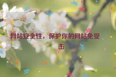 網(wǎng)站安全性，保護你的網(wǎng)站免受攻擊
