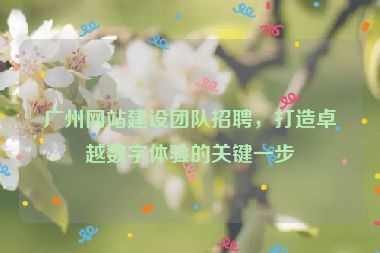 廣州網(wǎng)站建設(shè)團(tuán)隊(duì)招聘，打造卓越數(shù)字體驗(yàn)的關(guān)鍵一步