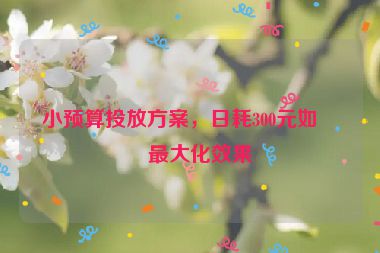 小預(yù)算投放方案，日耗300元如何最大化效果