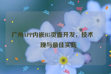 廣州APP內(nèi)嵌H5頁面開發(fā)，技術(shù)實(shí)現(xiàn)與最佳實(shí)踐