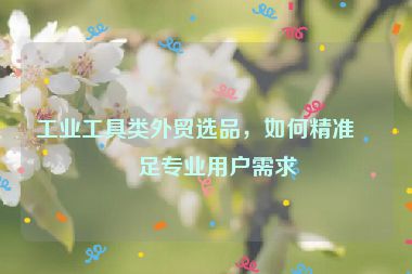 工業(yè)工具類外貿(mào)選品，如何精準(zhǔn)滿足專業(yè)用戶需求