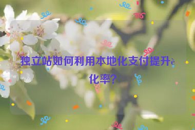 獨(dú)立站如何利用本地化支付提升轉(zhuǎn)化率？