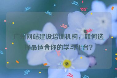 廣州網(wǎng)站建設(shè)培訓(xùn)機(jī)構(gòu)，如何選擇最適合你的學(xué)習(xí)平臺？