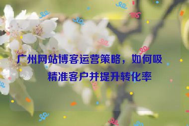 廣州網(wǎng)站博客運營策略，如何吸引精準(zhǔn)客戶并提升轉(zhuǎn)化率
