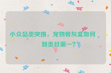 小眾品類突圍，寵物骨灰盒如何做到類目第一？