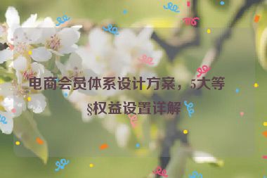 電商會(huì)員體系設(shè)計(jì)方案，5大等級(jí)權(quán)益設(shè)置詳解